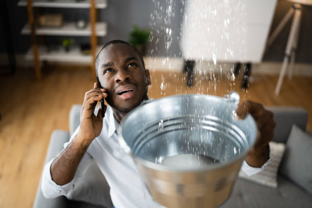 Best Professional water damage repair  in New Sharon, IA