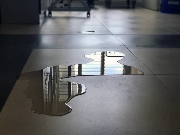Best Water damage restoration near me  in New Sharon, IA