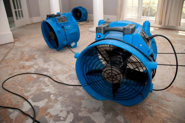 Water damage restoration mold remediation in New Sharon, IA