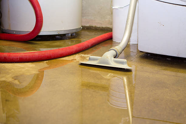 Best Sewage cleanup and water damage restoration  in New Sharon, IA