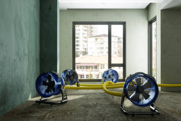 Best Water damage mitigation services  in New Sharon, IA